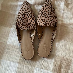 New shoes leopard